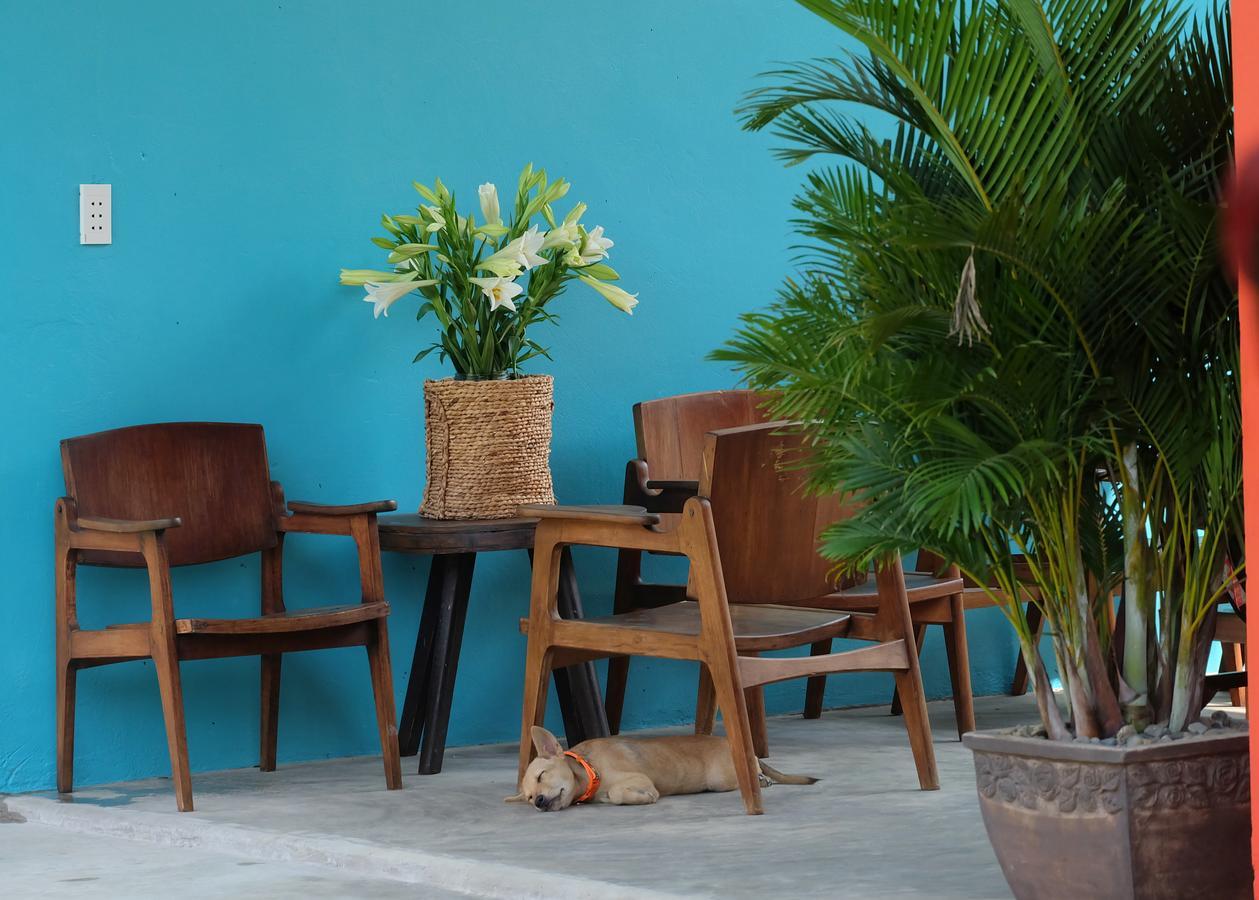 Lana Land Homestay Phu Quoc Esterno foto