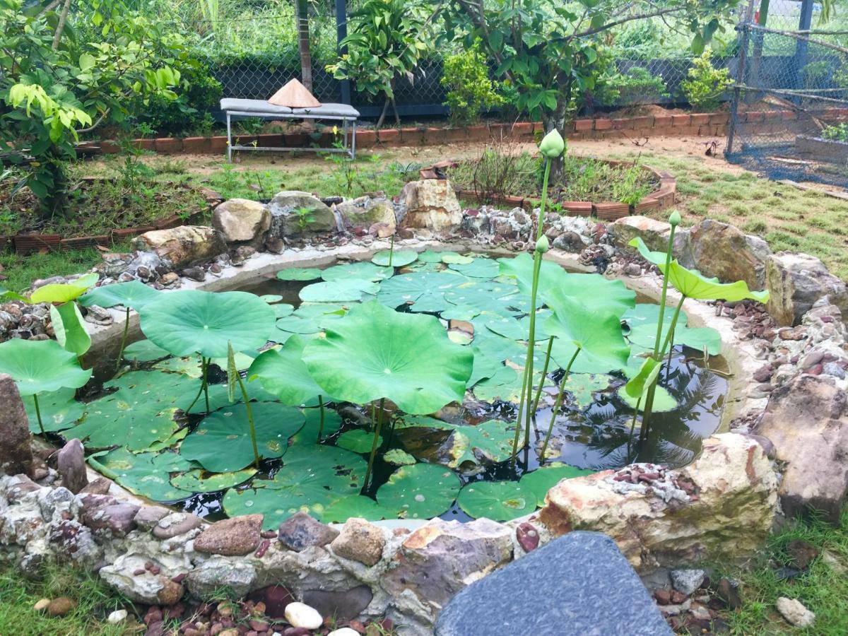 Lana Land Homestay Phu Quoc Esterno foto